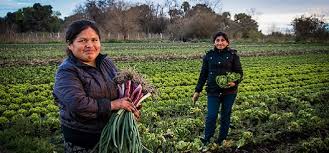 MUJERES AGRICULTORAS